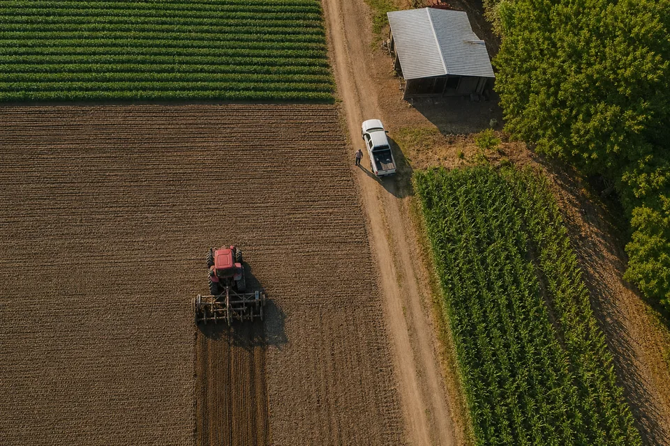 Aerial drone view straight down of farm fields with a red tractor, a white pickup truck, a barn and a dirt road